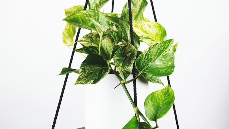 意甲联赛赛季数据总结：进攻与防守效率排行榜单